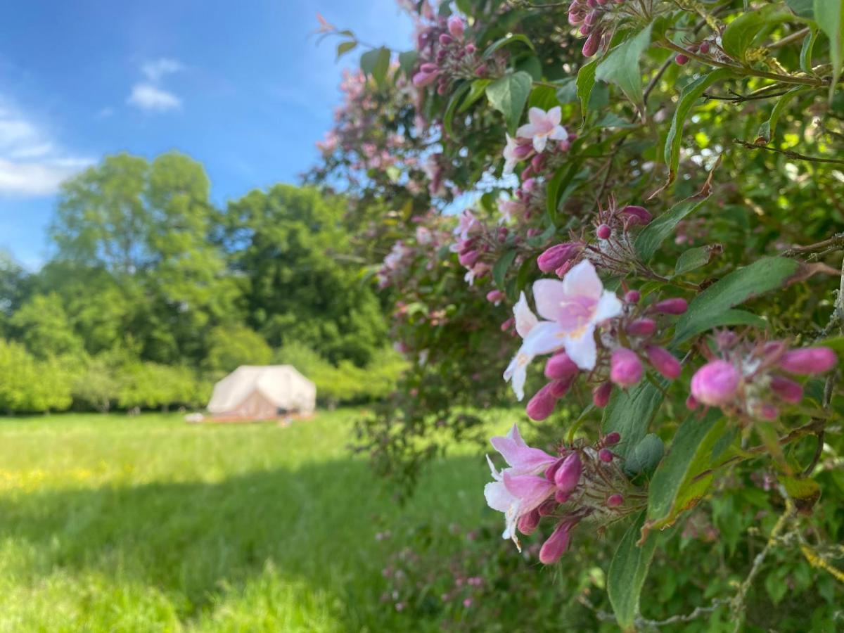 Green Glamping Sønderborg 外观 照片